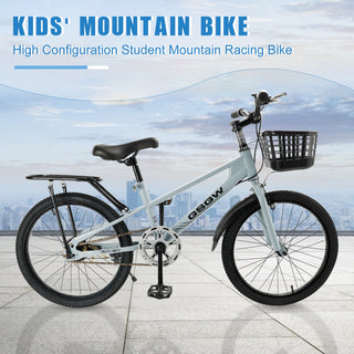 20 inches Teenager  Bicycle with Basket