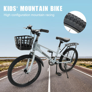 20 inches Teenager  Bicycle with Basket