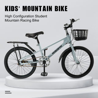 20 inches Teenager  Bicycle with Basket