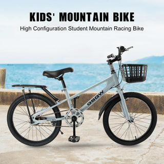 20 inches Teenager  Bicycle with Basket