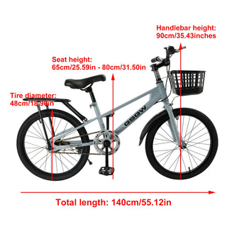 20 inches Teenager  Bicycle with Basket