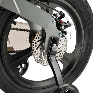16 inch Double Disc Brakes Kid's Bike w/ LED Headlight