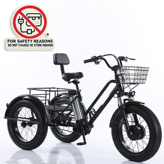 500W 48V 13A Electric Tricycle 3 Wheel Fat Tire E-Bike Snow