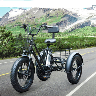 500W 48V 13A Electric Tricycle 3 Wheel Fat Tire E-Bike Snow