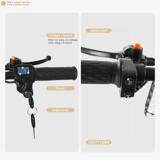 500W 48V 13A Electric Tricycle 3 Wheel Fat Tire E-Bike Snow