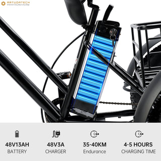 500W 48V 13A Electric Tricycle 3 Wheel Fat Tire E-Bike Snow