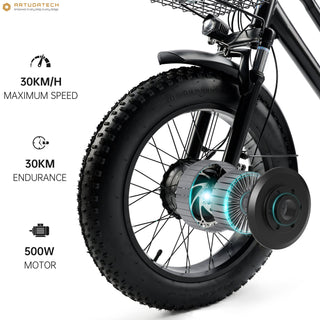 500W 48V 13A Electric Tricycle 3 Wheel Fat Tire E-Bike Snow