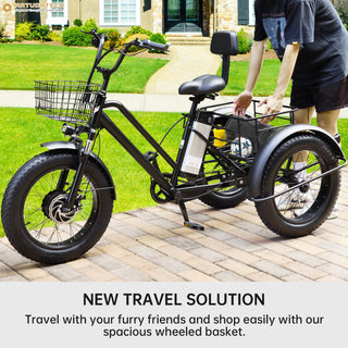 500W 48V 13A Electric Tricycle 3 Wheel Fat Tire E-Bike Snow