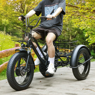500W 48V 13A Electric Tricycle 3 Wheel Fat Tire E-Bike Snow