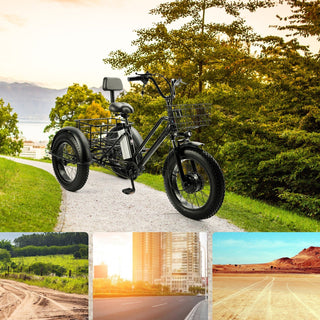 500W 48V 13A Electric Tricycle 3 Wheel Fat Tire E-Bike Snow