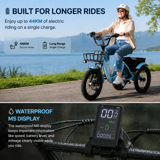 48V 350W Adult Electric Tricycle – Long Range E-Trike with 3.0" Wide Tires