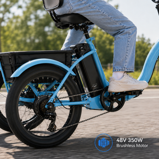 48V 350W Adult Electric Tricycle – Long Range E-Trike with 3.0" Wide Tires