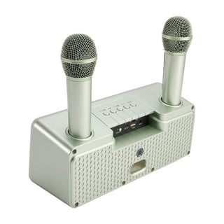 Wireless Bluetooth Speaker Dual Microphone Karaoke for Home Party Picnic Outdoor