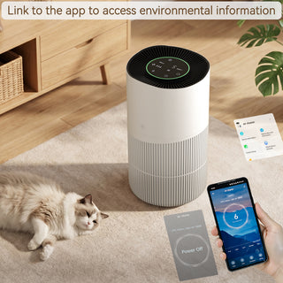 Removing formaldehyde and PM2.5 With app control Smart negative ion air purifier for pets and home use