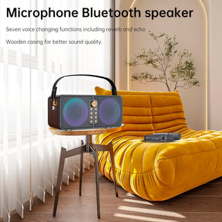 Wireless Bluetooth Speaker Dual Microphone Karaoke All-In-One Outdoor Portable