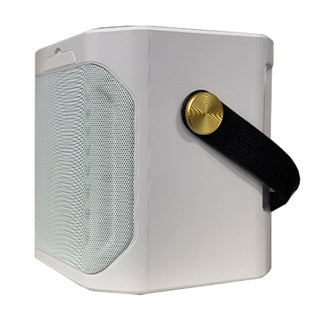 Wireless Bluetooth Speaker Dual Microphone Karaoke Home Theater All-in-One Audio