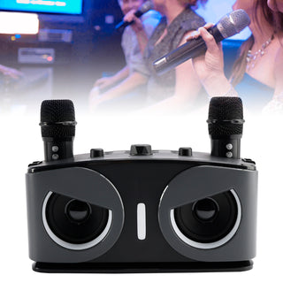 Wireless Bluetooth Speaker High Power Dual Microphone Karaoke All-in-One Audio