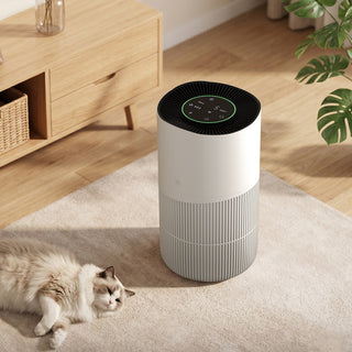 Removing formaldehyde and PM2.5 With app control Smart negative ion air purifier for pets and home use