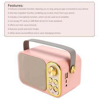 Mini Wireless Bluetooth Speaker 10W Power Home Dual Microphone Speaker Karaoke
