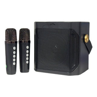 Wireless Bluetooth Speaker Dual Microphone Karaoke Home Theater All-in-One Audio