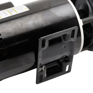230-Volts Plastics 3721621-1D Executive 56 Frame 4 Horsepower Spa Pump