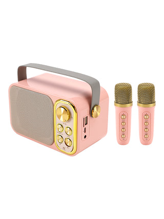 Mini Wireless Bluetooth Speaker 10W Power Home Dual Microphone Speaker Karaoke