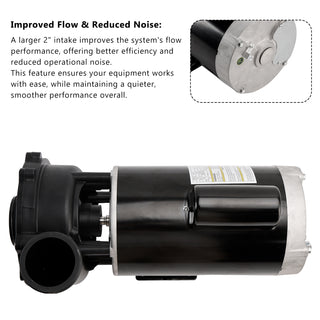 230-Volts Plastics 3721621-1D Executive 56 Frame 4 Horsepower Spa Pump