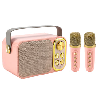 Mini Wireless Bluetooth Speaker 10W Power Home Dual Microphone Speaker Karaoke