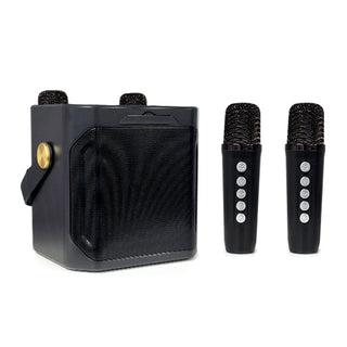 Wireless Bluetooth Speaker Dual Microphone Karaoke Home Theater All-in-One Audio