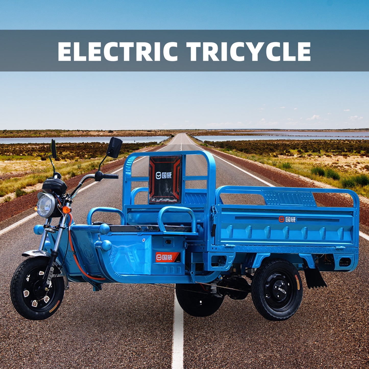 Electric Cargo Tricycle Truck Endurance Mileage 60-70km 1200W Simple Tricycle
